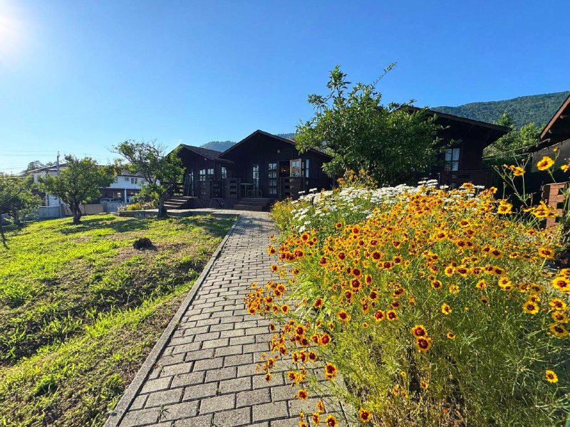 "НИКОПСИЯ" домики