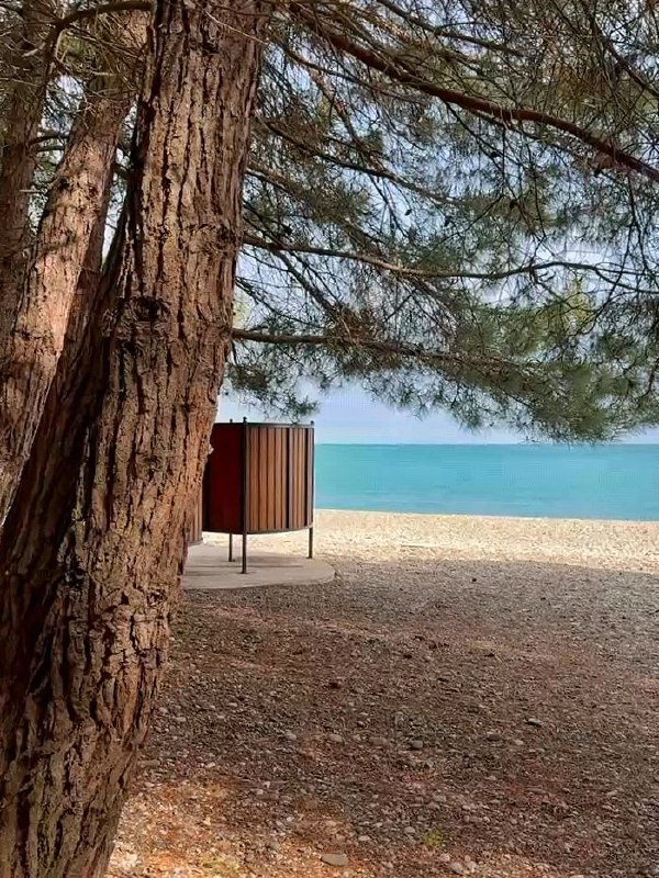 "ПШАДА" отель с питанием у соснового пляжа