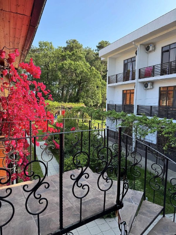 "СИРИУС" отель у соснового пляжа